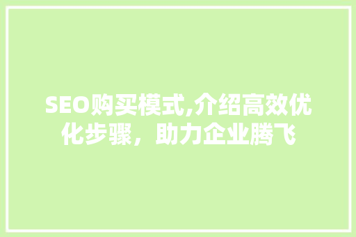 SEO购买模式,介绍高效优化步骤，助力企业腾飞 必应SEO