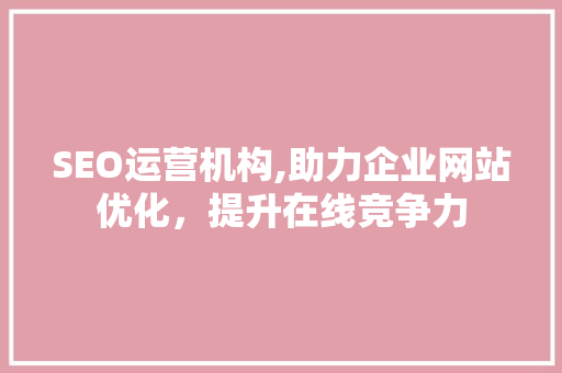 SEO运营机构,助力企业网站优化，提升在线竞争力 网站建设公司