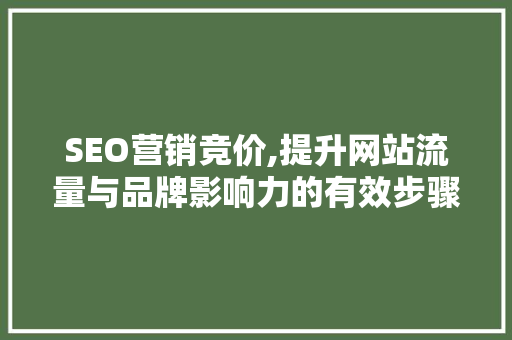 SEO营销竞价,提升网站流量与品牌影响力的有效步骤