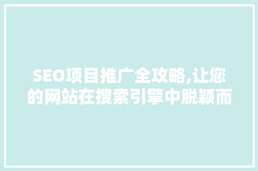 SEO项目推广全攻略,让您的网站在搜索引擎中脱颖而出 百度SEO