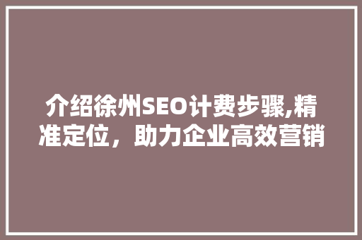 介绍徐州SEO计费步骤,精准定位，助力企业高效营销 百度SEO