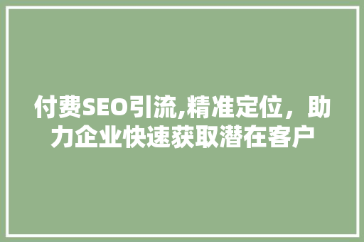 付费SEO引流,精准定位，助力企业快速获取潜在客户 必应SEO