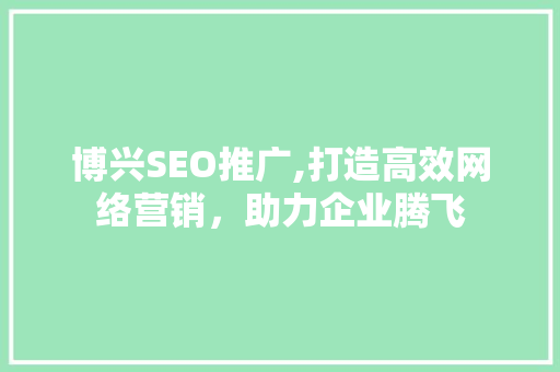 博兴SEO推广,打造高效网络营销，助力企业腾飞 网站建设公司