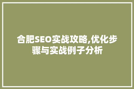 合肥SEO实战攻略,优化步骤与实战例子分析 网站建设公司