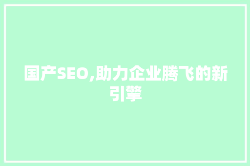 国产SEO,助力企业腾飞的新引擎 必应SEO