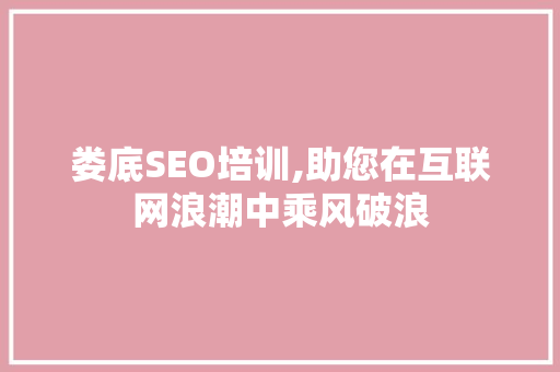 娄底SEO培训,助您在互联网浪潮中乘风破浪 SEO关键词