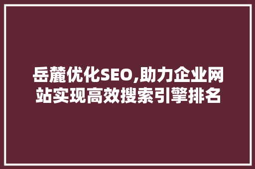 岳麓优化SEO,助力企业网站实现高效搜索引擎排名