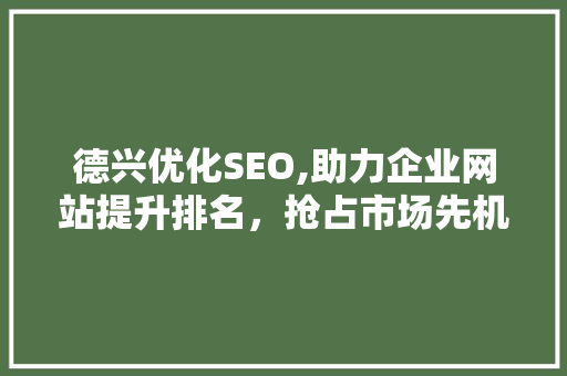 德兴优化SEO,助力企业网站提升排名，抢占市场先机 网站建设公司