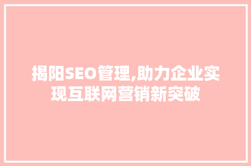 揭阳SEO管理,助力企业实现互联网营销新突破