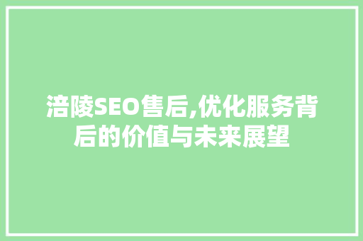 涪陵SEO售后,优化服务背后的价值与未来展望 必应SEO