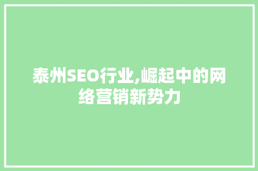 泰州SEO行业,崛起中的网络营销新势力
