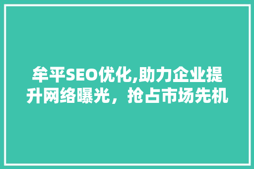 牟平SEO优化,助力企业提升网络曝光，抢占市场先机 网站建设公司