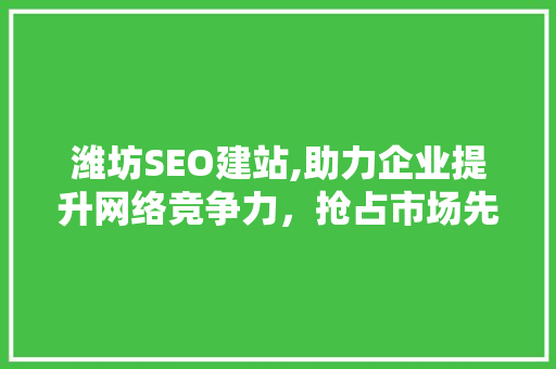 潍坊SEO建站,助力企业提升网络竞争力，抢占市场先机 必应SEO