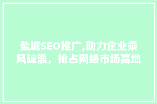 盐城SEO推广,助力企业乘风破浪，抢占网络市场高地 网站建设公司