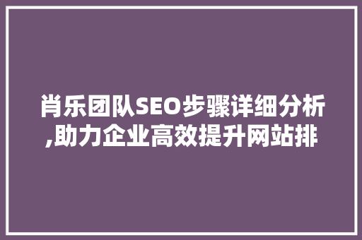 肖乐团队SEO步骤详细分析,助力企业高效提升网站排名 必应SEO