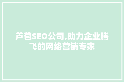 芦苞SEO公司,助力企业腾飞的网络营销专家 神马SEO