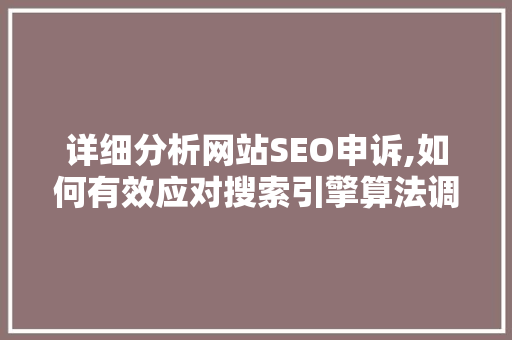 详细分析网站SEO申诉,如何有效应对搜索引擎算法调整带来的挑战