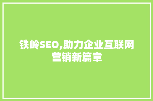 铁岭SEO,助力企业互联网营销新篇章 百度SEO