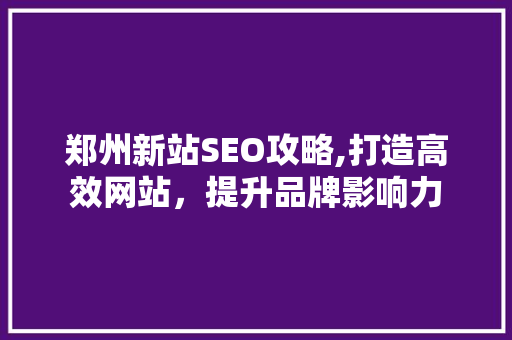 郑州新站SEO攻略,打造高效网站，提升品牌影响力 百度SEO
