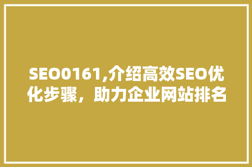 SEO0161,介绍高效SEO优化步骤，助力企业网站排名提升 神马SEO