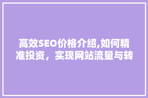 高效SEO价格介绍,如何精准投资，实现网站流量与转化双丰收 必应SEO