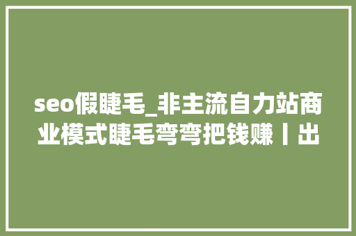 seo假睫毛_非主流自力站商业模式睫毛弯弯把钱赚丨出海笔记 seo假睫毛_非主流自力站商业模式睫毛弯弯把钱赚丨出海笔记 必应SEO