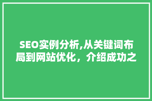SEO实例分析,从关键词布局到网站优化，介绍成功之路 网站建设公司