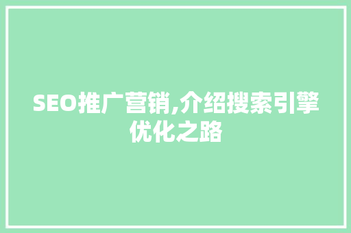 SEO推广营销,介绍搜索引擎优化之路 网站建设公司