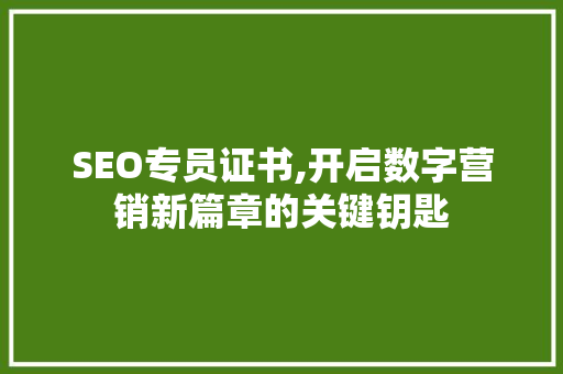 SEO专员证书,开启数字营销新篇章的关键钥匙 网站建设公司