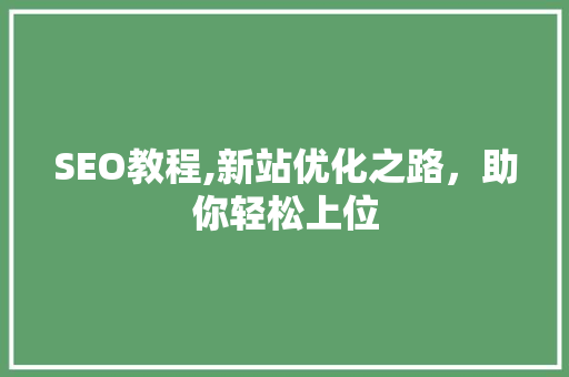 SEO教程,新站优化之路，助你轻松上位 网站建设公司