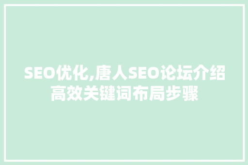 SEO优化,唐人SEO论坛介绍高效关键词布局步骤 SEO关键词