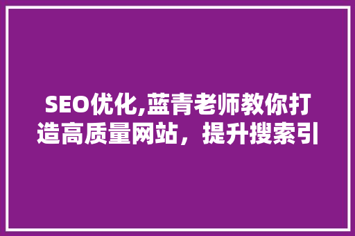 SEO优化,蓝青老师教你打造高质量网站，提升搜索引擎排名 百度SEO