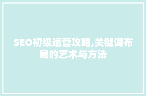 SEO初级运营攻略,关键词布局的艺术与方法 SEO关键词