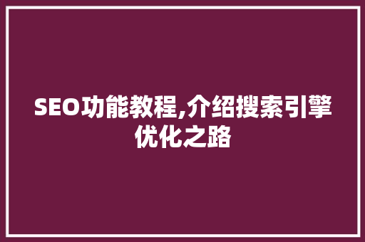 SEO功能教程,介绍搜索引擎优化之路