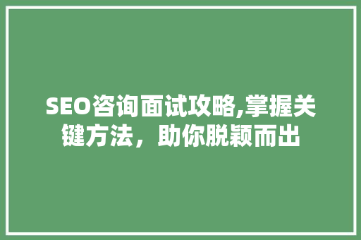 SEO咨询面试攻略,掌握关键方法，助你脱颖而出 SEO关键词