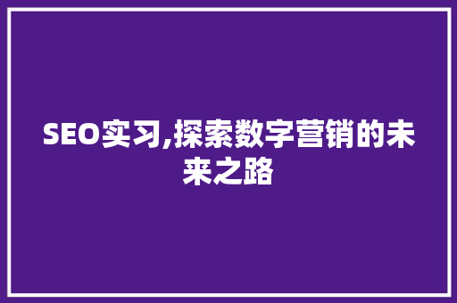 SEO实习,探索数字营销的未来之路 百度SEO