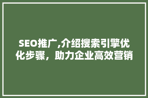 SEO推广,介绍搜索引擎优化步骤，助力企业高效营销 必应SEO