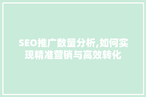 SEO推广数量分析,如何实现精准营销与高效转化 网站建设公司