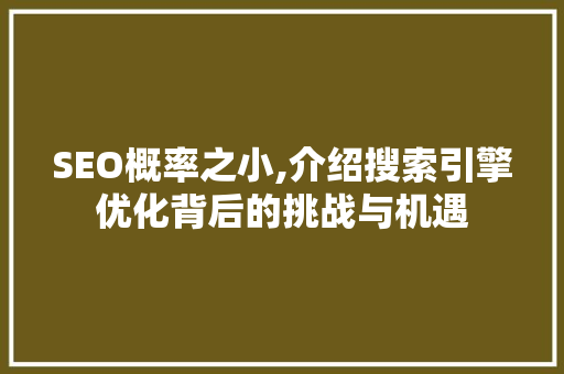 SEO概率之小,介绍搜索引擎优化背后的挑战与机遇 必应SEO