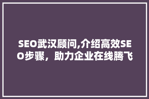 SEO武汉顾问,介绍高效SEO步骤，助力企业在线腾飞 搜狗SEO