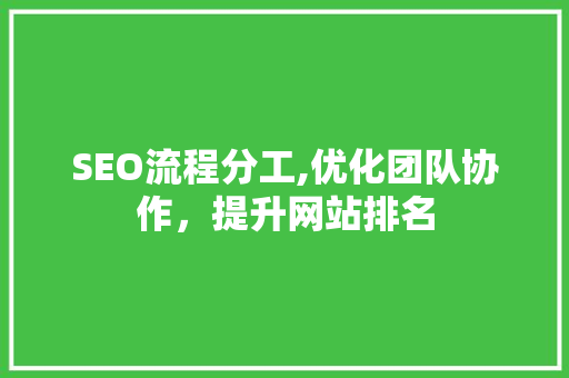 SEO流程分工,优化团队协作，提升网站排名