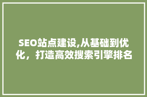 SEO站点建设,从基础到优化，打造高效搜索引擎排名 网站建设公司