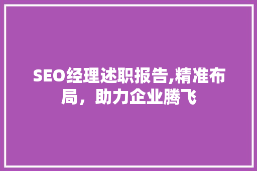 SEO经理述职报告,精准布局，助力企业腾飞 百度SEO