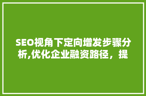 SEO视角下定向增发步骤分析,优化企业融资路径，提升市场竞争力 必应SEO
