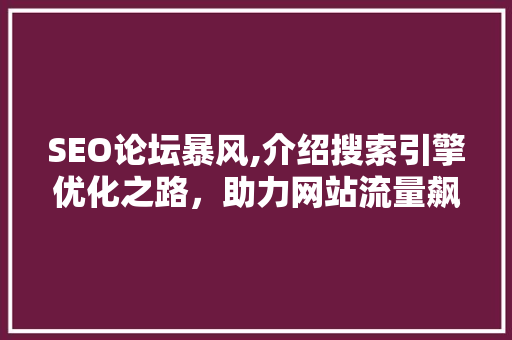 SEO论坛暴风,介绍搜索引擎优化之路，助力网站流量飙升 SEO关键词