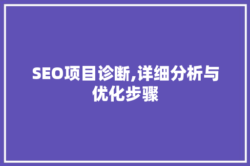 SEO项目诊断,详细分析与优化步骤 网站建设公司