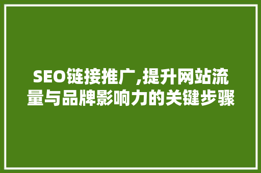 SEO链接推广,提升网站流量与品牌影响力的关键步骤 百度SEO