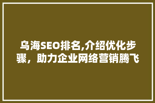 乌海SEO排名,介绍优化步骤，助力企业网络营销腾飞 百度SEO