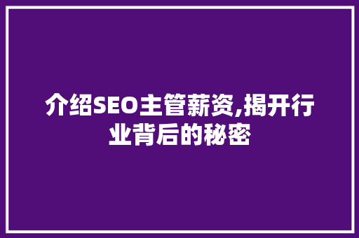 介绍SEO主管薪资,揭开行业背后的秘密 SEO关键词