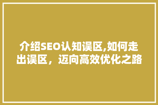 介绍SEO认知误区,如何走出误区，迈向高效优化之路 网站建设公司